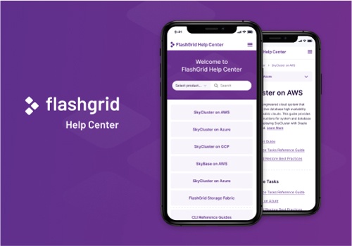 Custom Software Development Package Example: FlashGrid Help Center