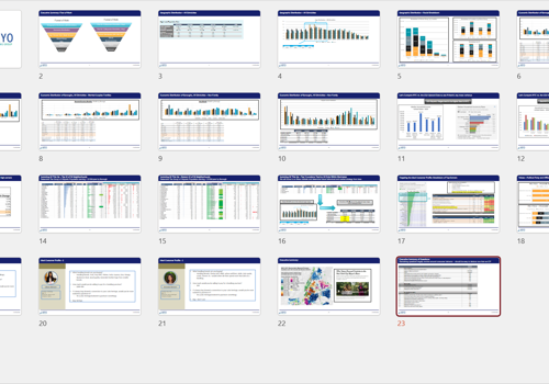 Market Research Package Example: Market Research - Fashion Brand in New York