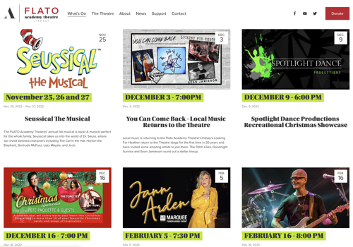 Other Design Package Example: Branding & Web Design for Local Community Theatre