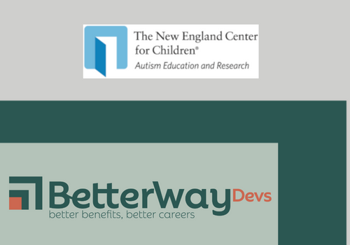 IT Staff Augmentation Package Example: Full time DevOps and Software Developers