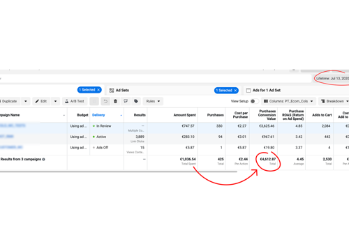 Market Research Package Example: Launching A New Sustainable Brand