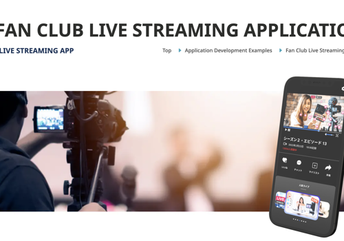 Custom Software Development Package Example: Fan Club Live Streaming Application