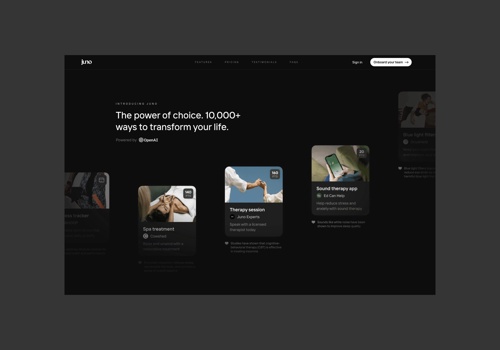 Branding Package Example: Juno web design and branding