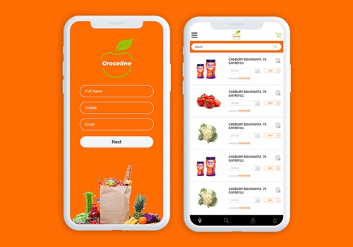 Mobile App Development Package Example: Online Grocery Store