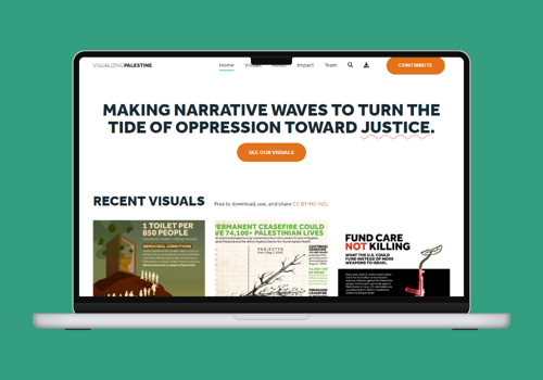 Web Design Package Example: Visualizing Palestine Website Redesign