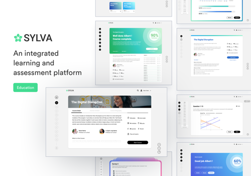 Web Development Package Example: SYLVA