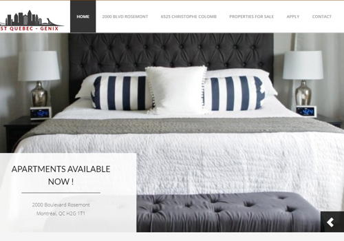 Web Development Package Example: First Quebec Genix