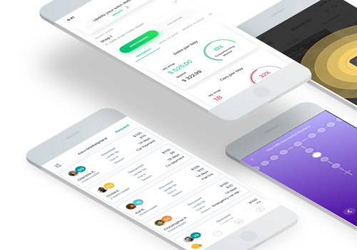 Digital Strategy Package Example: Product Manager Consultant