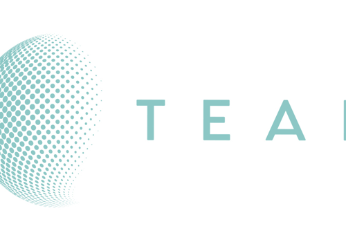 Web Development Package Example: Tealcom