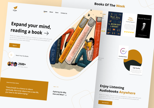 Web Design Package Example: Website Design for Flying Book