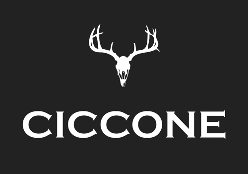 Branding Package Example: Branding for the Ciccone Shoe Collection