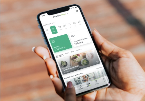 UX/UI Design Package Example: SanoPass Web and Mobile