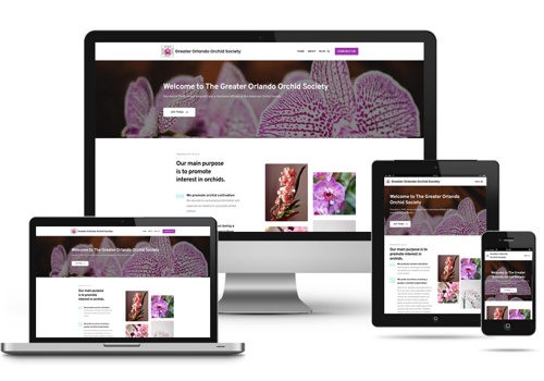Web Design Package Example: Greater Orlando Orchid Society Website
