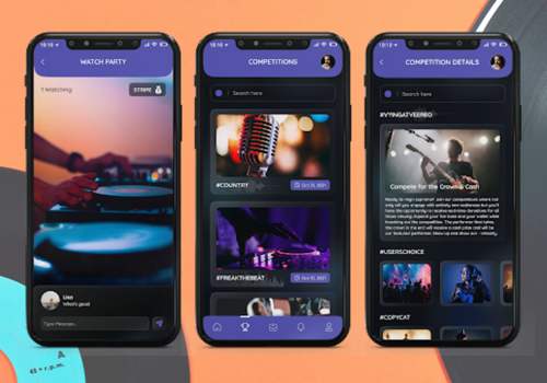 Mobile App Development Package Example: Veereo - Platform for music artists