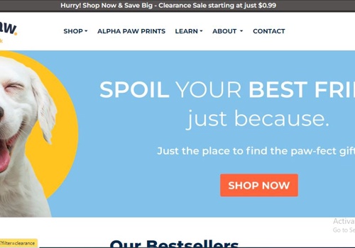 Mobile App Development Package Example: alphapaw