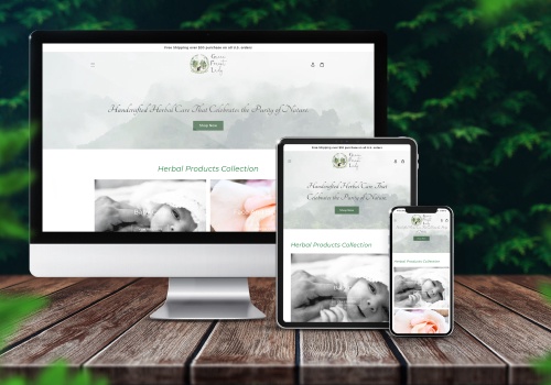 E-Commerce Development Package Example: Create Business E-commerce website using Shopify