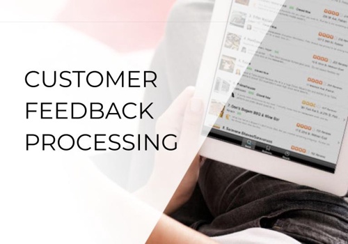 AI Development Package Example: Customer Feedback Processing