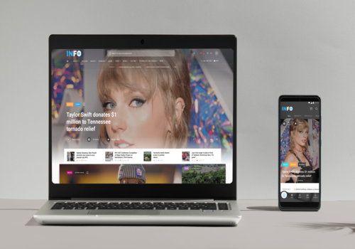 Custom Software Development Package Example: INFO: a digital ecosystem for a network of online
