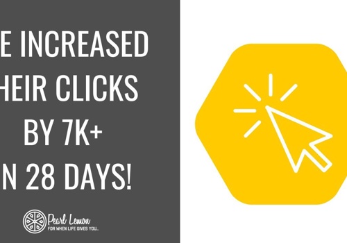 Search Engine Optimization Package Example: E-commerce SEO