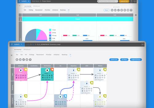 Web Development Package Example: SuiteCX