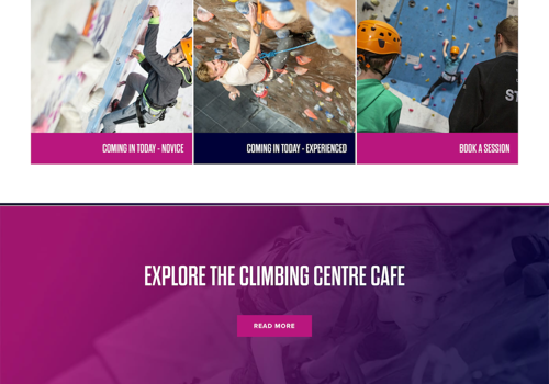 Web Development Package Example: Wordpress website with booking system