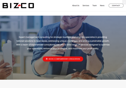 Web Design Package Example: Bizco Business Consulting
