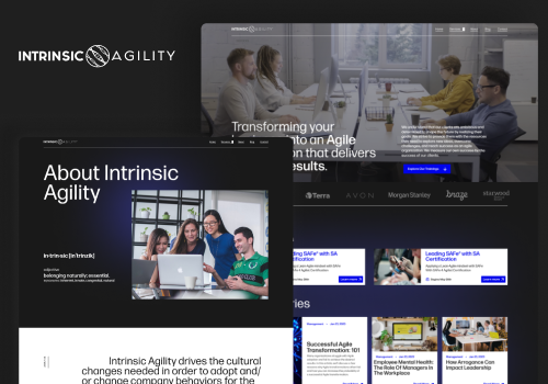 Branding Package Example: Intrinsic Agility - Branding & Website Revamp