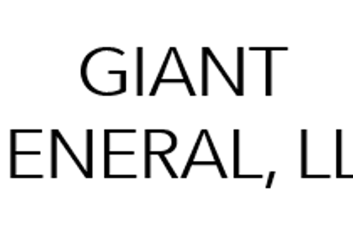 Business Consulting Package Example: Business Plan for Mobile App