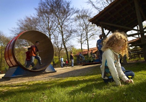 Pay Per Click Package Example: SKZ – More Bookings through Targeted Digital Ads