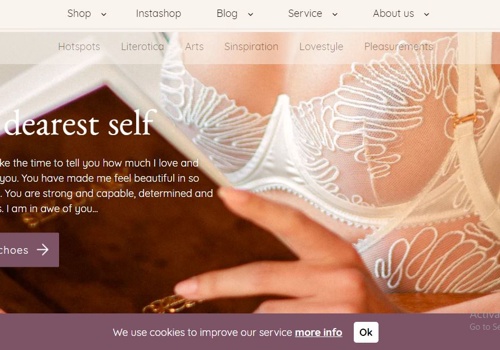 Custom Software Development Package Example: Pleasurements