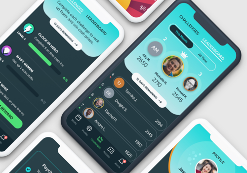 Mobile App Development Package Example: CareCrown
