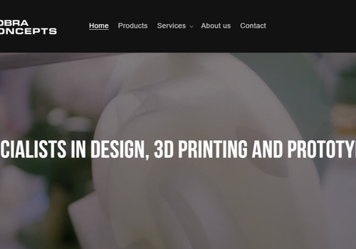 Search Engine Optimization Package Example: Cobra Concepts Store