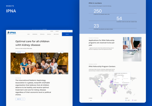 Web Design Package Example: IPNA – Web Design & Web Development
