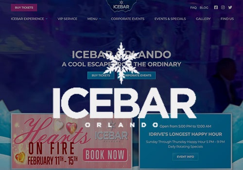 Web Development Package Example: ICEBAR Orlando - Website Design