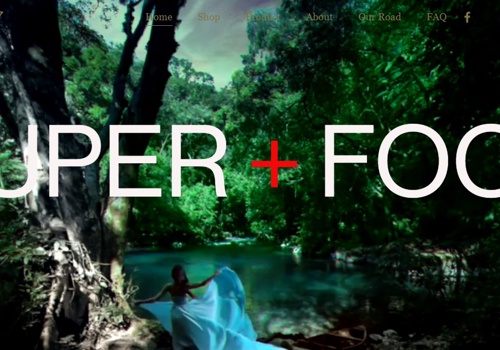 Search Engine Optimization Package Example: Tarantula-Ellipsoid-Ert5