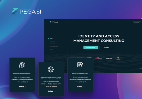Web Design Package Example: Pegasi