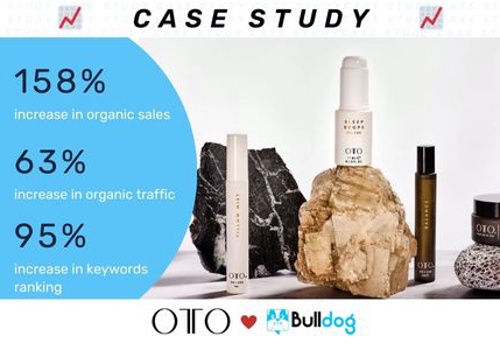 Search Engine Optimization Package Example: Project with OTO CBD