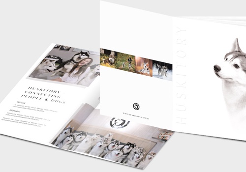 Graphic Design Package Example: Company Profile design for Huskitory