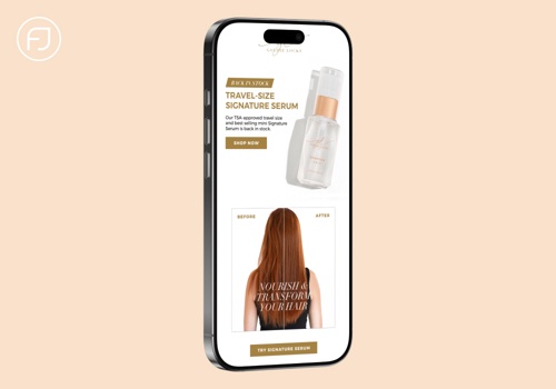 Email Marketing Package Example: Back in Stock Email & SMS Campaign