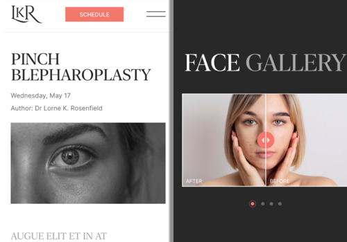 Web Development Package Example: Dr. Rosenfield - Web Development & Design (Mobile)