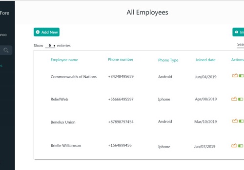 UX/UI Design Package Example: SemaForce