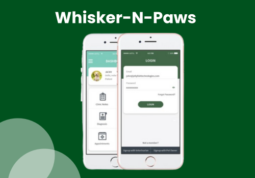 Mobile App Development Package Example: Mobile App Development