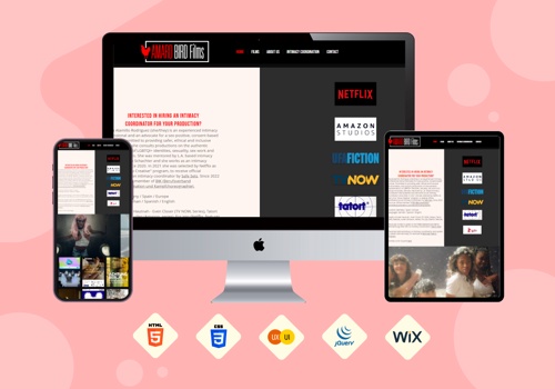 Web Development Package Example: Amard bird films