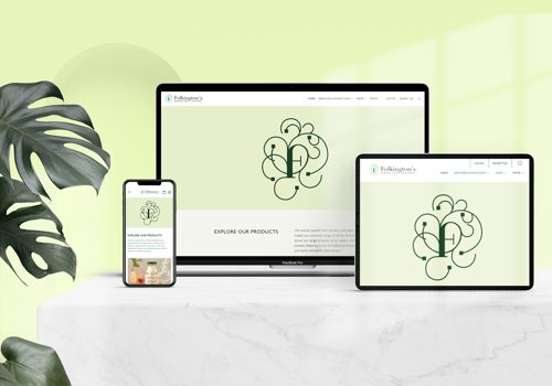 E-Commerce Development Package Example: Shopify eCommerce Development For UK Client