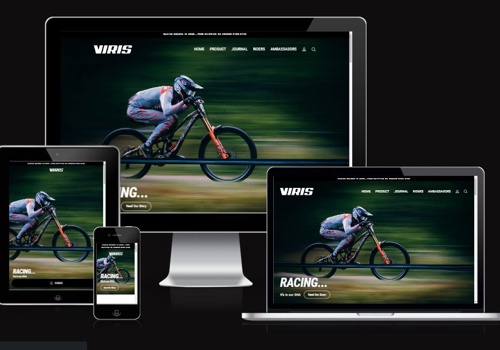 Search Engine Optimization Package Example: VirisBrand