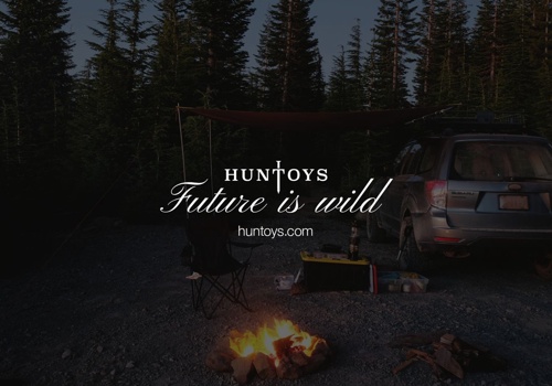 Branding Package Example: Design System and Website Creation for Huntoys