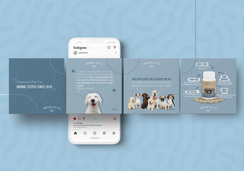 Graphic Design Package Example: Carousel Post Design for Imperial Pet Co.
