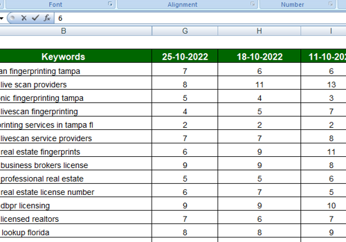 Search Engine Optimization Package Example: SEO for FEFPS Website