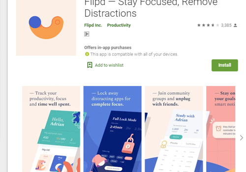 Mobile App Development Package Example: Flipd - Goal Setting App