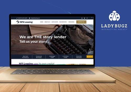 Web Design Package Example: Web Evolution for B2B Financing + Credit Company